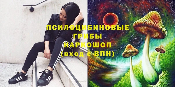mdma Гусев