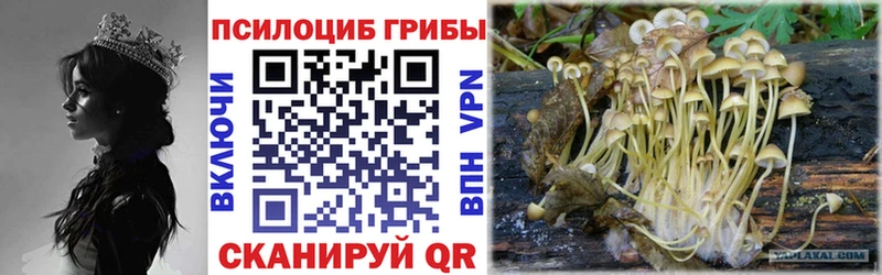 Галлюциногенные грибы мицелий  Купить  Ейск 
